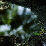 IMGP4577_2