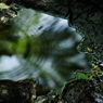 IMGP4583_2