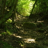 IMGP4557_2