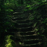 IMGP4613_2