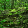 IMGP4618_2