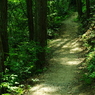IMGP4645_2