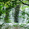 IMGP4653_2