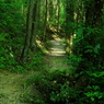 IMGP4664_2