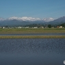 水田と剱、立山連峰