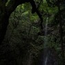 清水の軌跡！