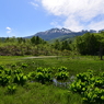 どじょう池より乗鞍岳を望む