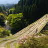 通潤橋を見ながら