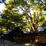 天岩戸神社