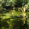 阿蘇　池山湧水