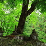 妙義神社にて