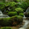 時の流れ