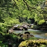 　流れ