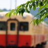 緑に見送られて