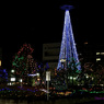 20141224_Tree of 京田辺