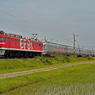 EF81-95