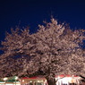 OJI ZOO