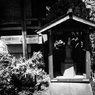 東海物語