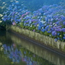 青の時