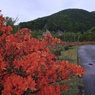 風景☆オレンジロード