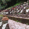 羅漢