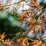 週刊 ツライデー