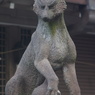 argus CINTAR 135/2.8