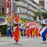 犬山踊芸祭⑯よさこい塾ありがた屋さん