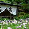 菖蒲園