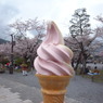 桜アイス