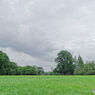 IMG_0452_DxO