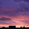 夕景
