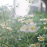 KOMURA W-KOMURA UNI AUTO 28/3.5