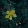 KOMURA W-KOMURA UNI AUTO 28/3.5