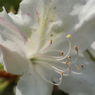 photo_575351