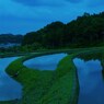青景