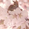 やっと、逢えたね・・(^^♪