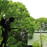 報徳二宮神社　二宮金次郎像