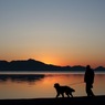 朝日の中を