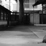 猫とランドナー２