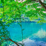 九寨溝の水景#2