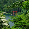 旅写真　箱根神社
