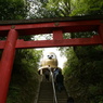 フクロウの神社