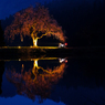 夜の宴