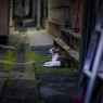 矩形の空へ
