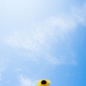 また夏がくる