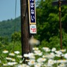 駅名標と花②