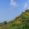 オホーツクの花園をゆく♪