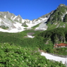夏の涸沢