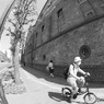 P5280182 8 f1.8